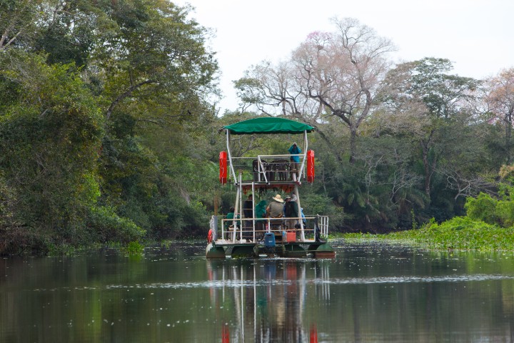 Pantanal - Photo by Pantanal